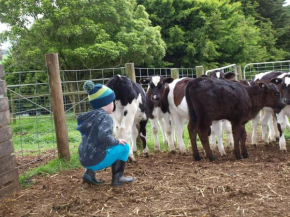 Manderley Park Farmstay B&B